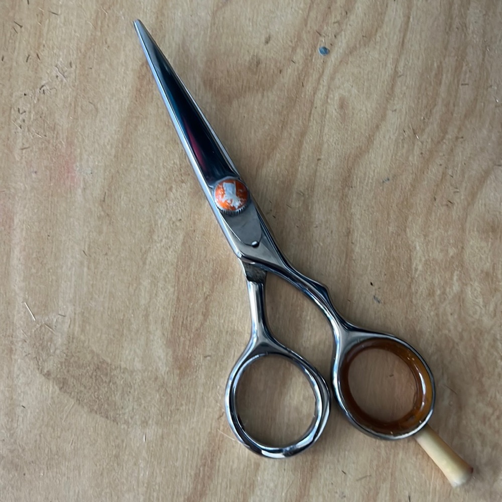 Professional Silver and Brown Hair Scissors